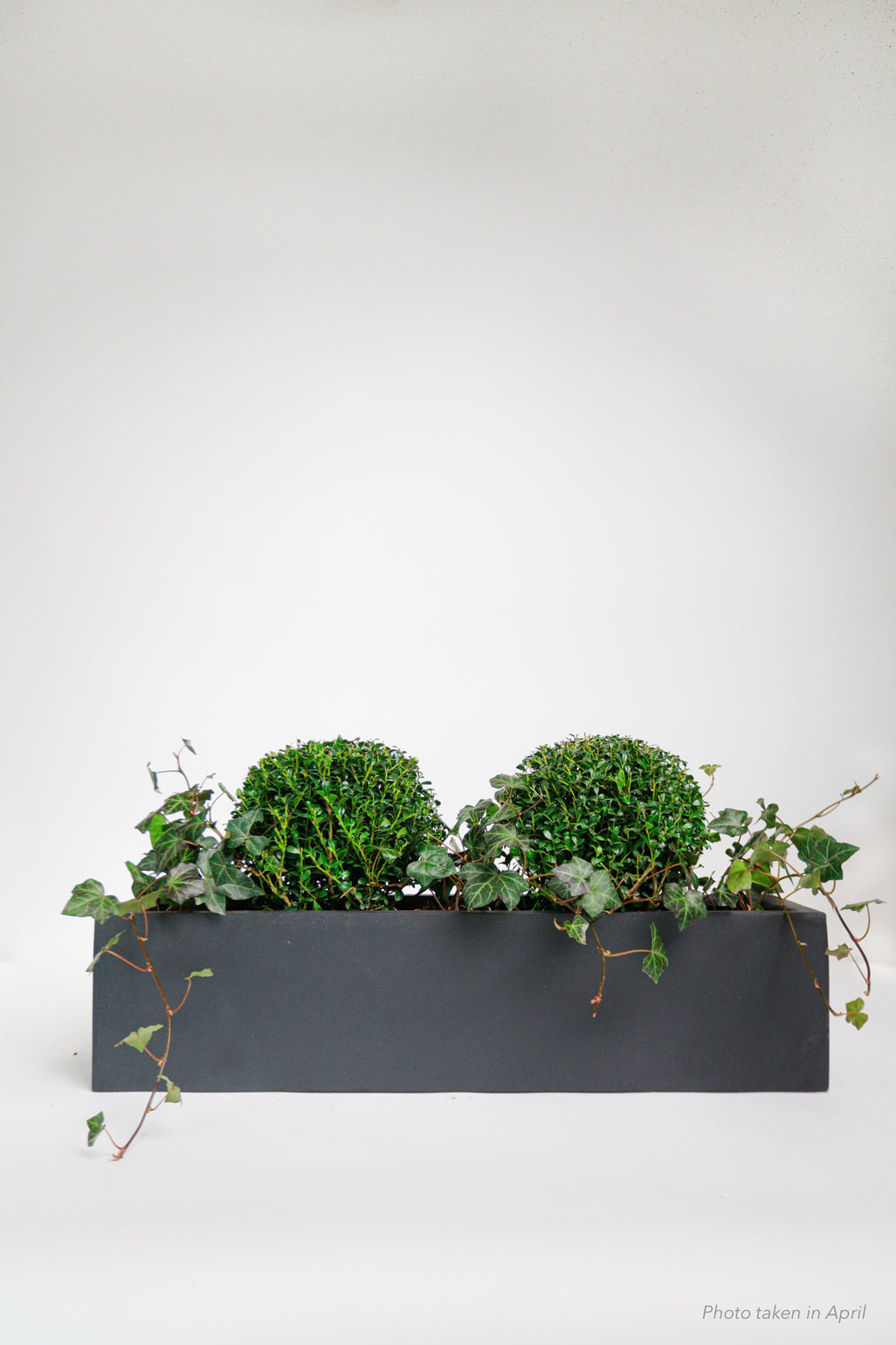 products/SotoProductShootLowQ-2730.jpg